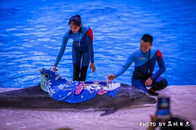来珠海亲子必打卡景点，人工飘雪海洋动物表演，最适合周末亲子游