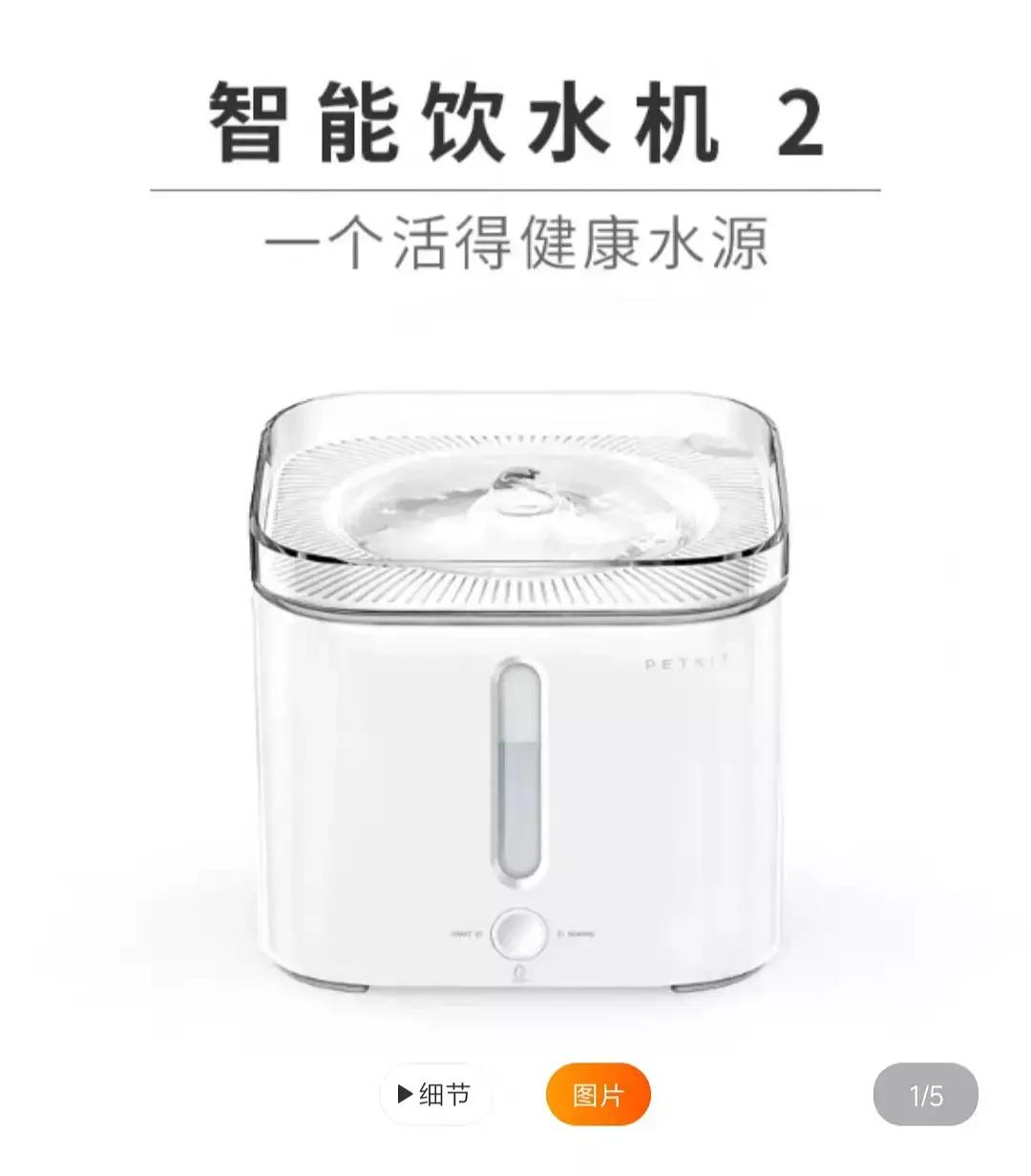 贫民窟女孩养猫好物合集,贫民窟养猫一个月花多少钱