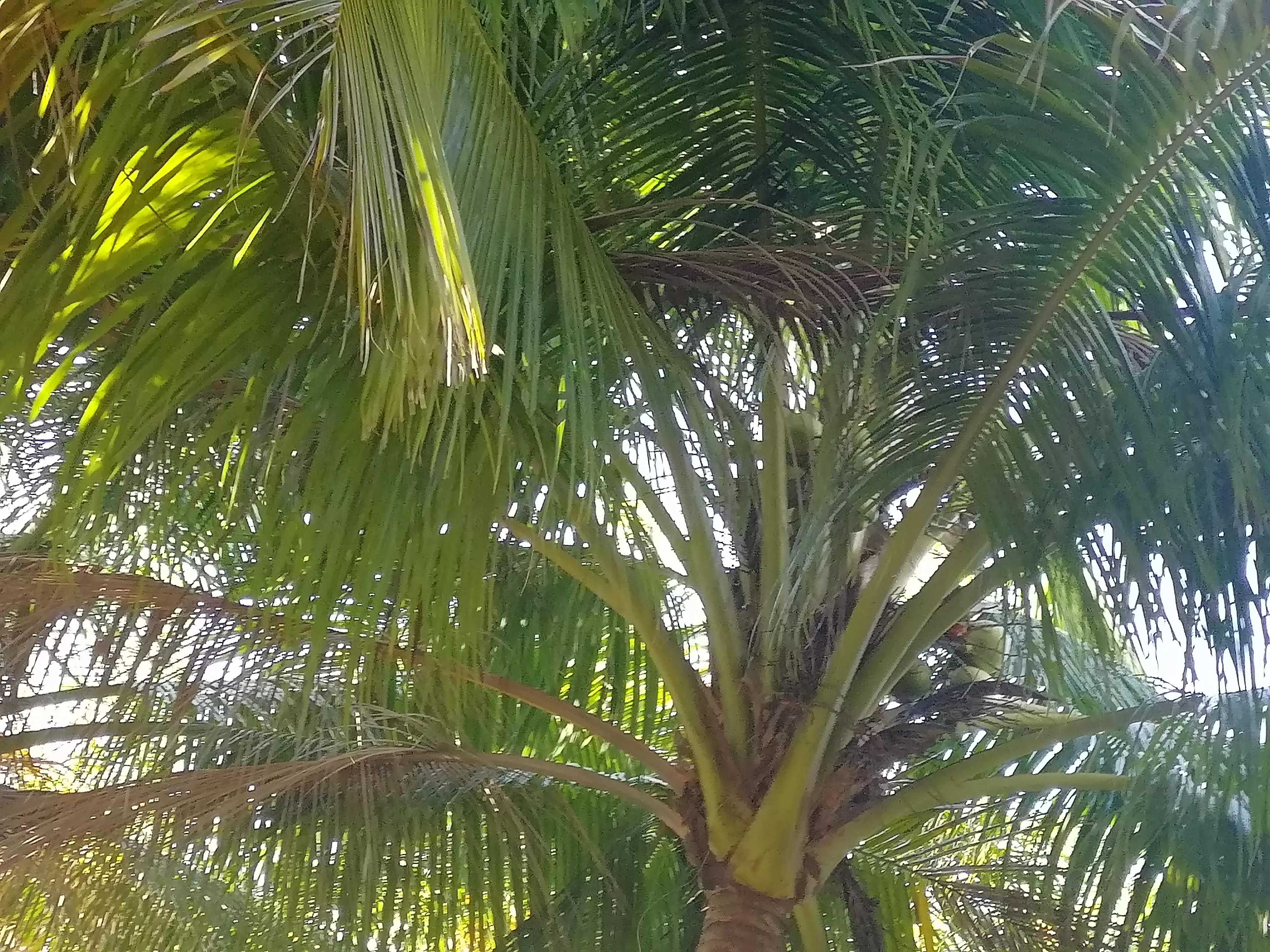 难忘的第一次100字,难忘的第一次三年级300字作文