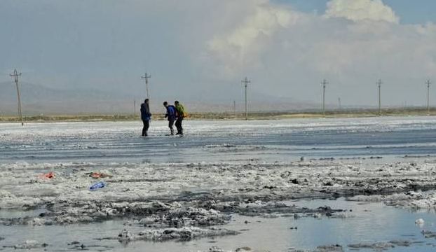 tiffany8万的钢丝球,tiffany钢丝球为啥这么贵