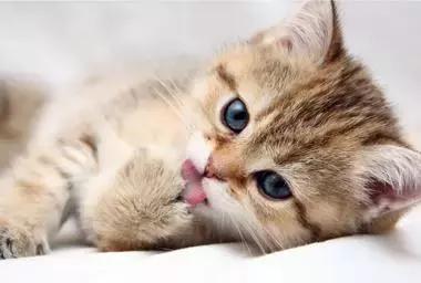 最容易读错的106个多音字赶快收藏,必背50个常见多音字你会几个