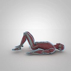 5个臀部动作练屁股,5个需要了解的臀部训练