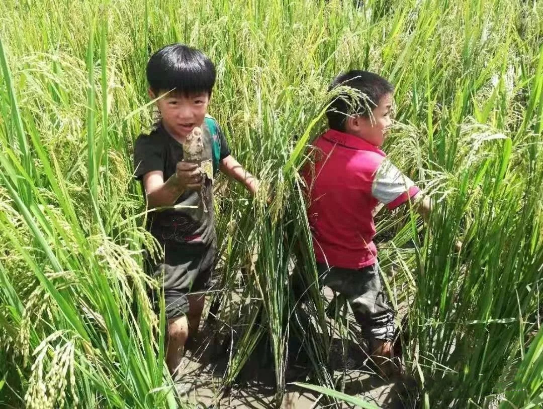 户撒佛祖的后花园现在怎么走,户撒为什么叫佛祖后花园