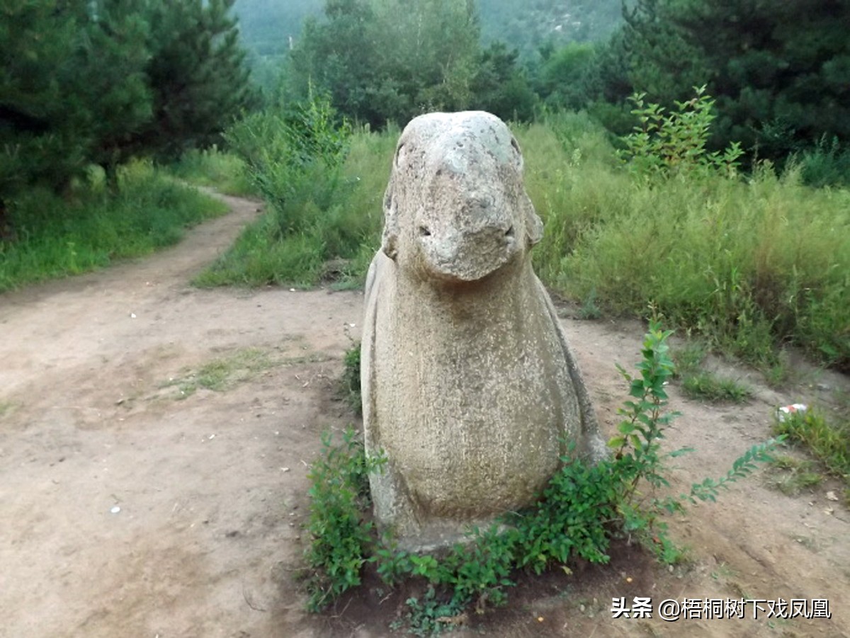 一个盗墓者的自述解说,一位盗墓者的自述实体书