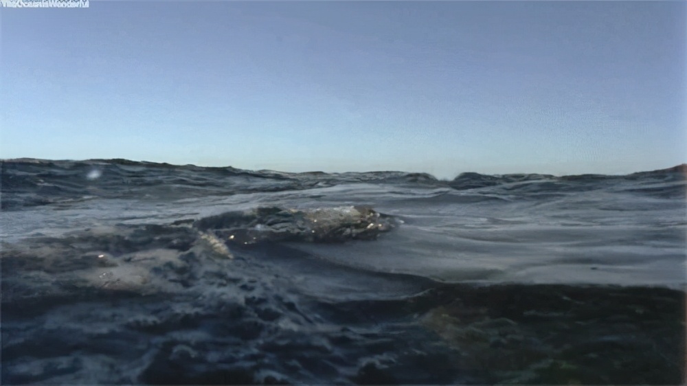 恐惧症完整版视频,恐惧症最新视频