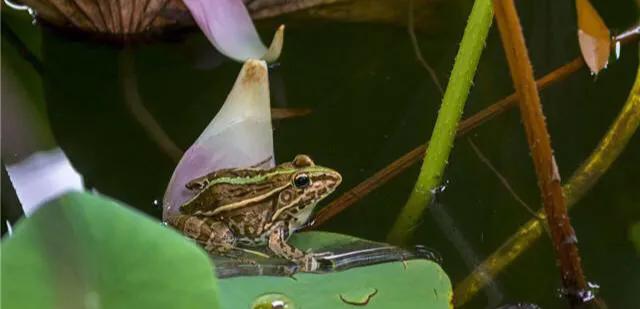 10个冷知识,微信发错照片超过30分钟怎么撤回