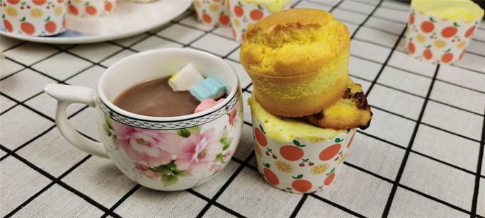 er-t16cnw微烤一体机使用说明,东芝t16cnw测评