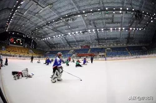 就在你家门口，黑龙江这些体育场馆免费或低收费向社会开放！