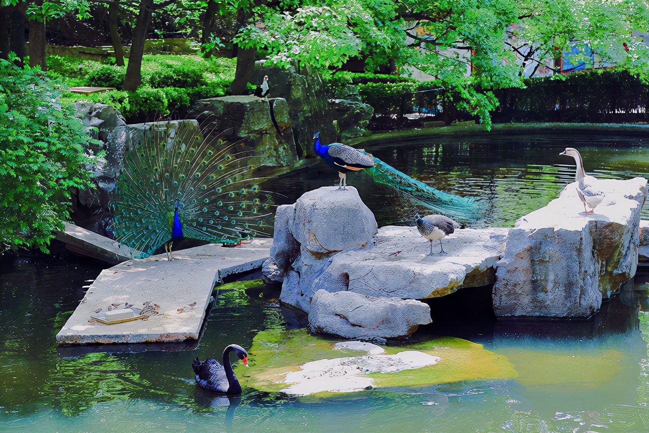 济南免费周末遛娃玩水好去处,济南亲子公园游玩地点推荐