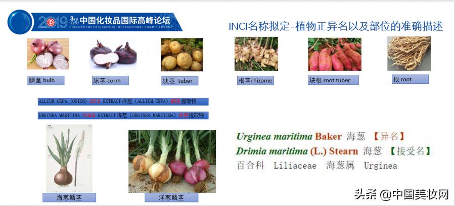 2019iPDM展|王有为:化妆品植物类原料命名的科学性与规范性