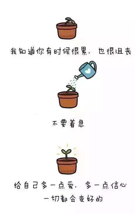 心灵鸡汤经典励志语录140句,心灵鸡汤大全励志语录经典