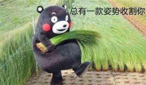 合肥哪个装修公司比较靠谱,合肥创艺装修公司口碑