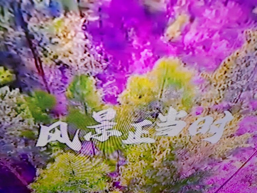 云一诗词荐读ll王惠玲的诗