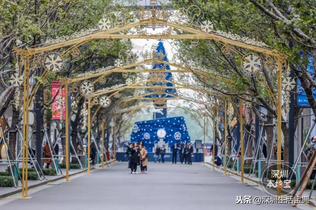 深圳南山有哪些风景,深圳南山夜晚有哪里好玩