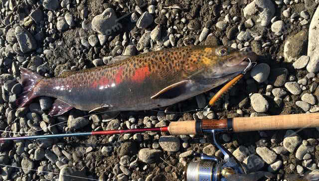 俄罗斯人是怎么钓鱼的,俄罗斯人钓鱼攻略