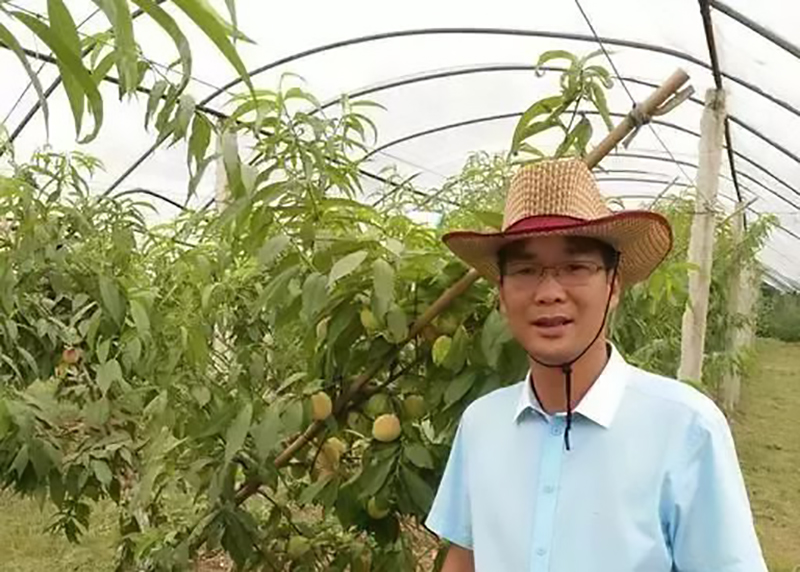 创业养鹅投资700万,年轻的回乡创业者养鹅