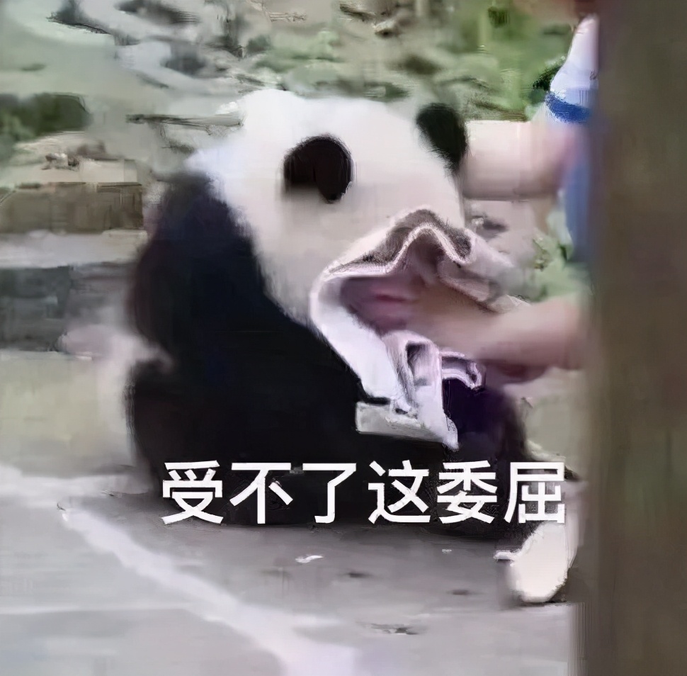 日看5000张图,打码师的日常究竟有多不堪?