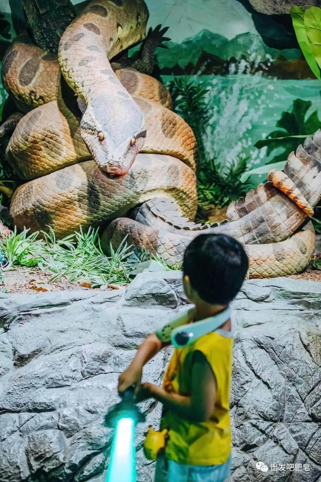 长隆飞鸟乐园怎么去长隆欢乐世界,汉溪长隆地铁站去长隆飞鸟乐园