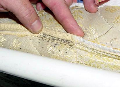 威士邦臭虫药在哪里买,床上臭虫用什么药来治