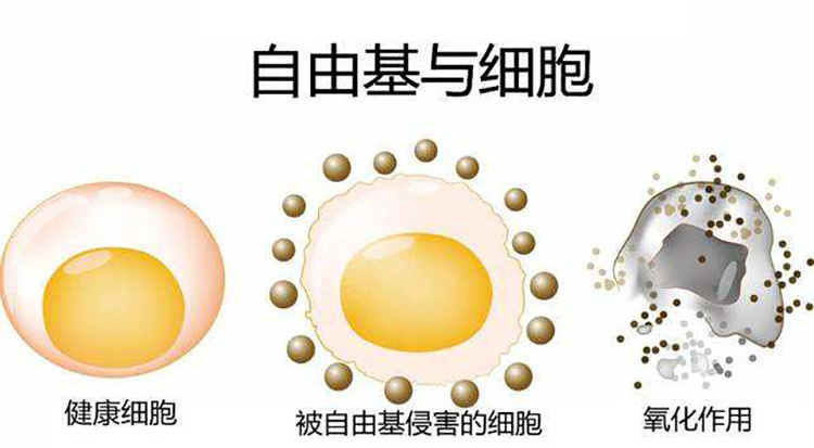 夏季混干皮如何美白,干皮美白用什么效果好女士