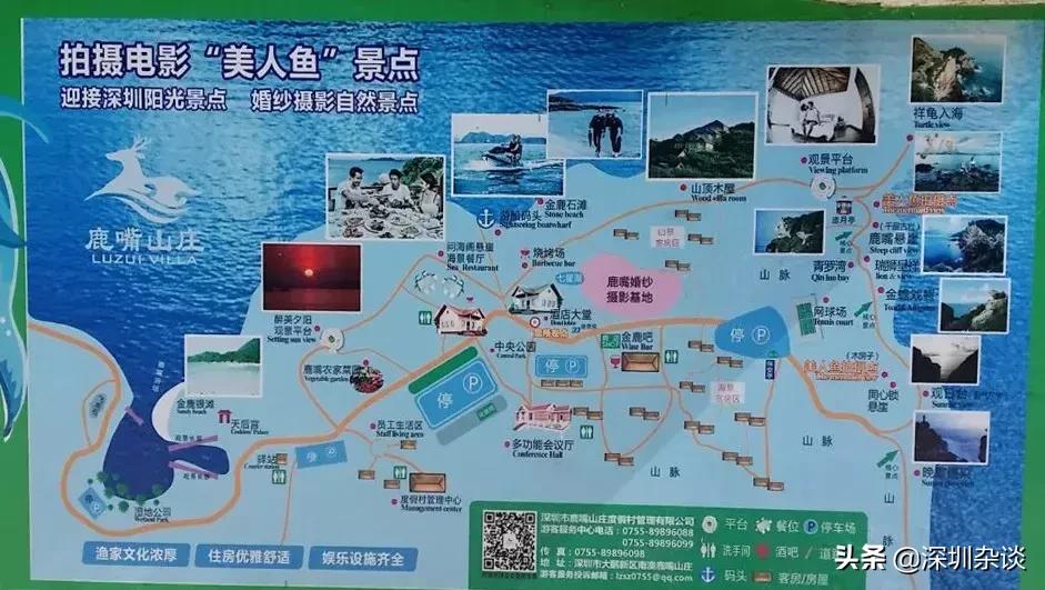 深圳杨梅坑溪谷,深圳最美溪谷杨梅坑