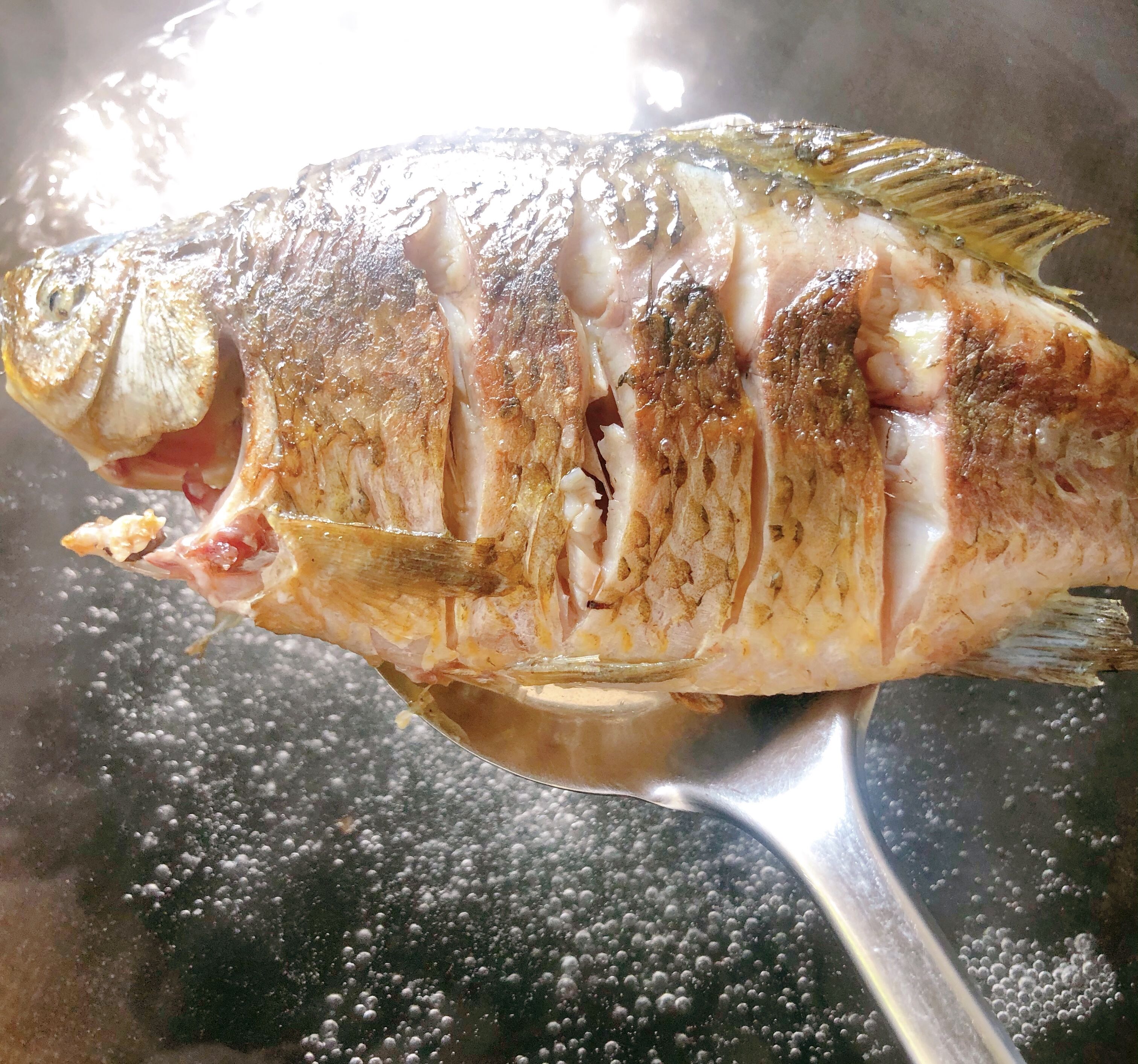 鲫鱼汤熬不白,教你一招补救,几分钟就能熬成奶白色