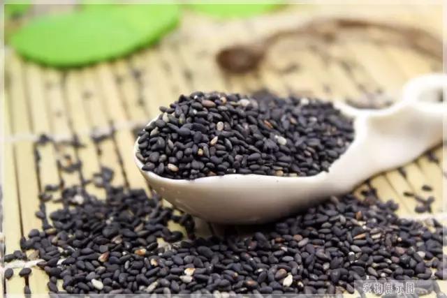 真假生活小常识,生活中常见的假常识