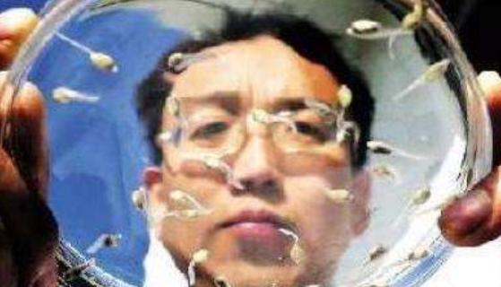 做试管精子和卵子有没有经过筛查,试管婴儿和人工授精选择