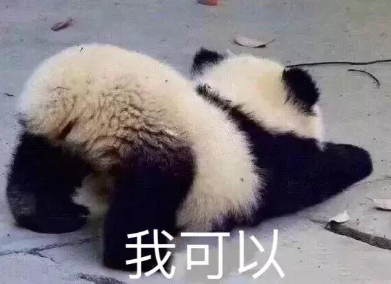 蹦迪摇头表情动图,斗图表情包聊天必备表情包