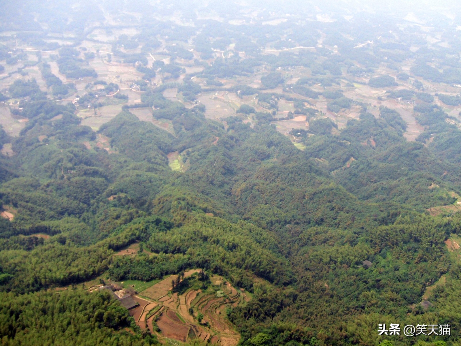 四川宜宾竹海风景,宜宾蜀南竹海全视频