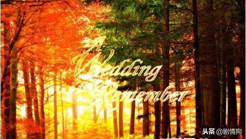 edius剪辑快速入门,edius教程新手剪辑