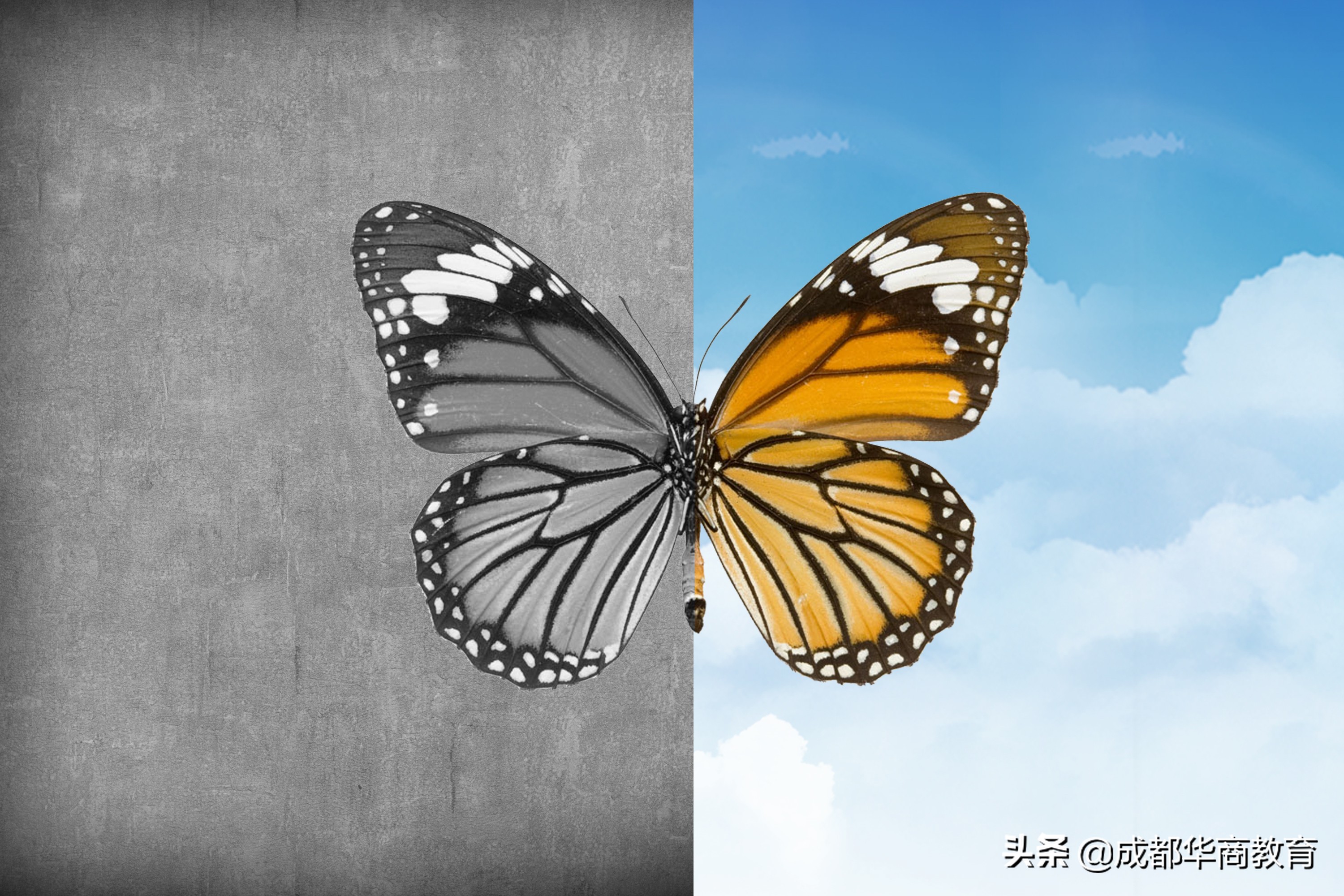 中科院心理咨询师考试科目,中科院心理咨询师考试有题库吗