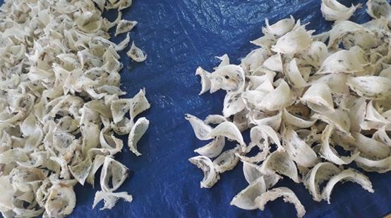 燕窝知识儿童篇,你不知道的营养知识