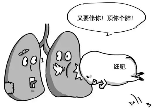 清风计划,清风计划原创