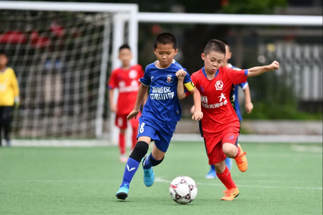 东北小学校园足球赛,全国少年足球比赛直播