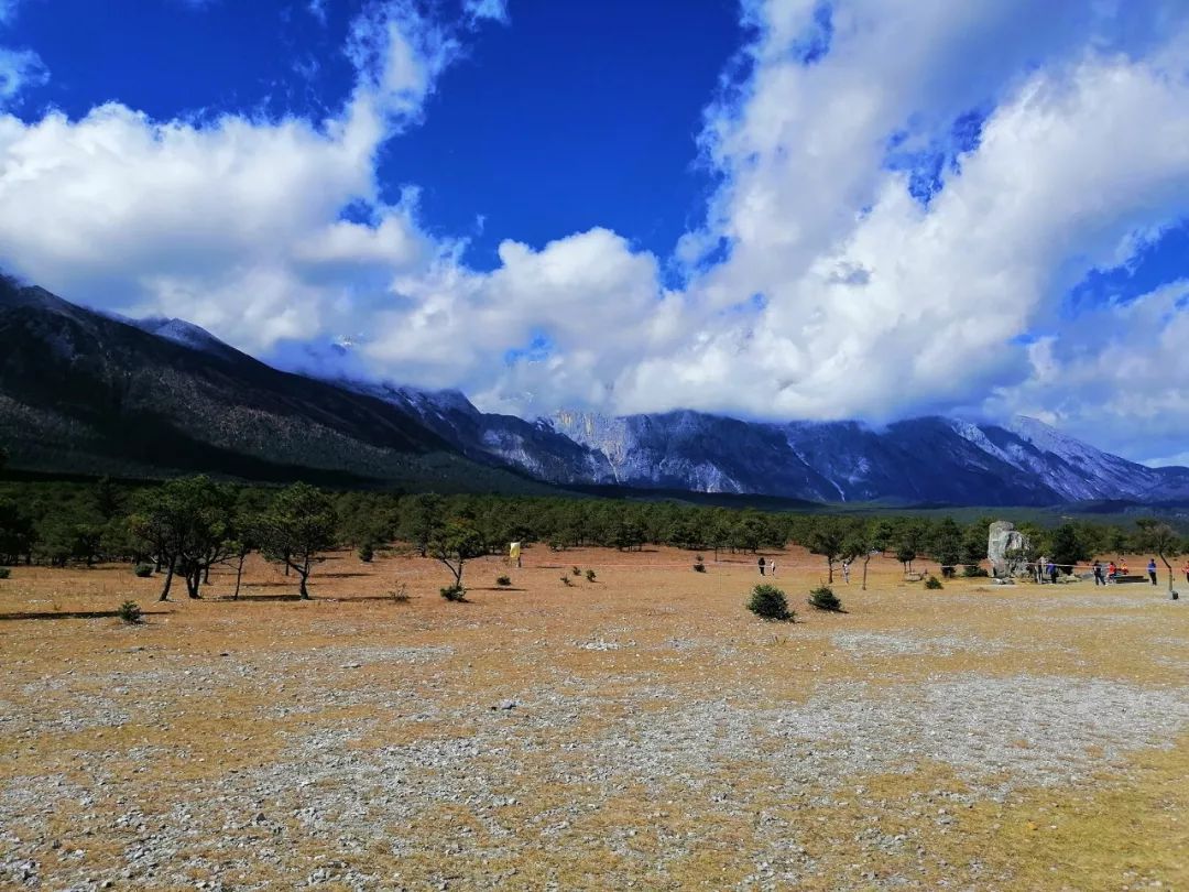 云南各地海拔高度表,云南十大高山海拔排名