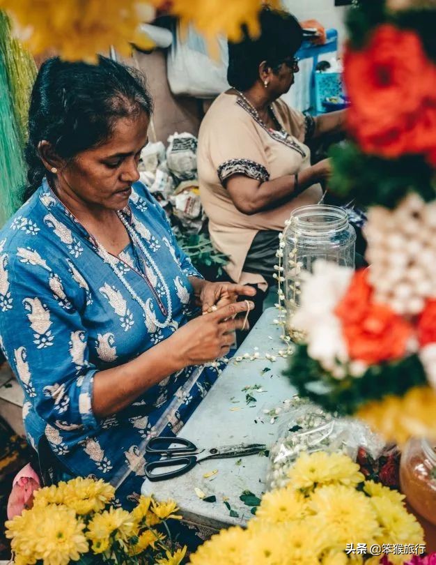 胡静豪门的生活,胡静的现实生活
