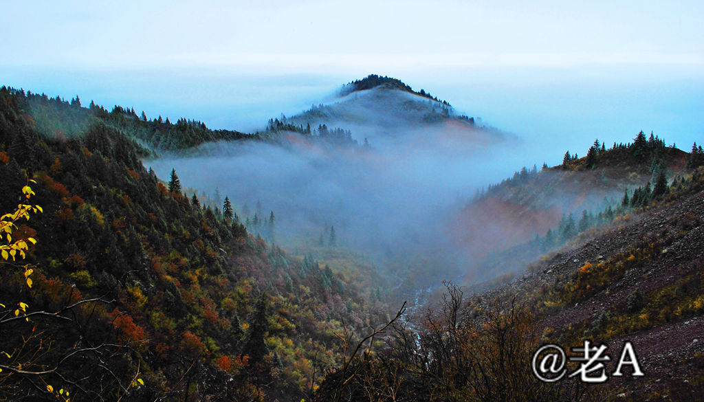 朋友们来张掖吧原视频,朋友来张掖吧