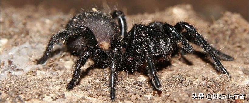 定了！2020年生物源农药发展新方向