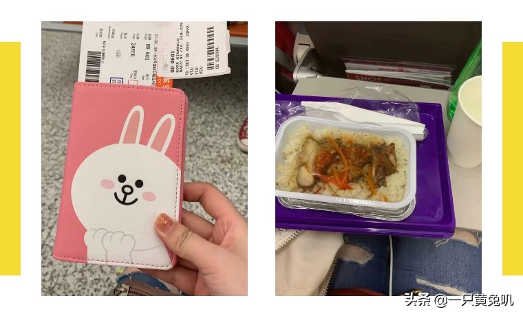 美人鱼之乡，速成老司机专场