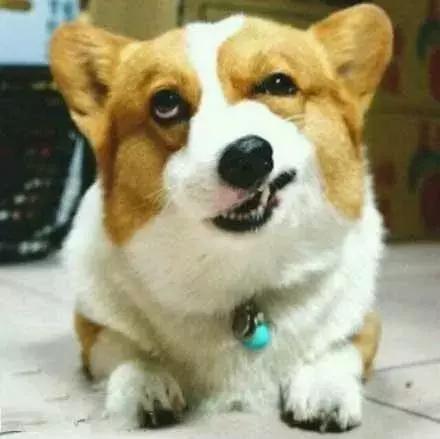 美妆圈吃瓜粉底液,美妆界吃瓜视频