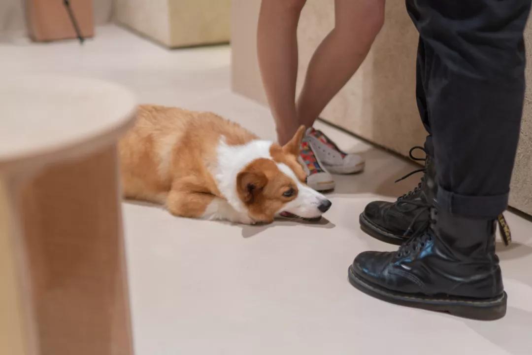 沙漠打卡！武汉的AtacamaCoffee咖啡店｜外物设计