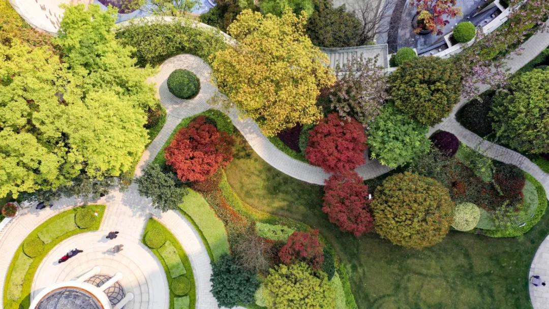 以青蓝之名，新湖重塑上海优雅生活