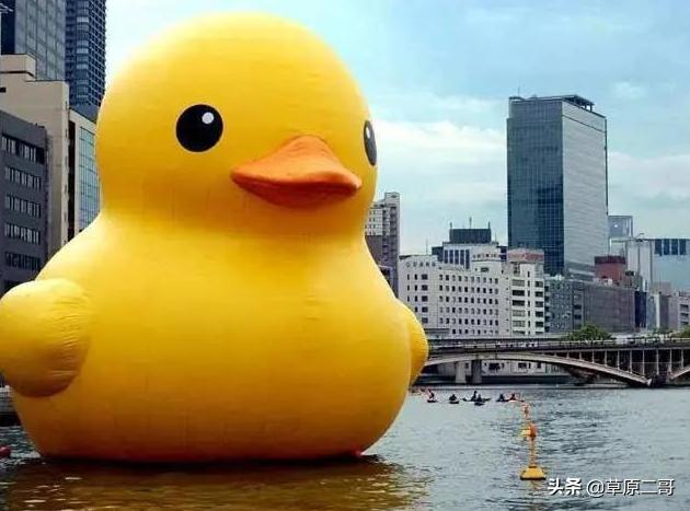 顶呱呱知识科普,顶呱呱科普小知识动画