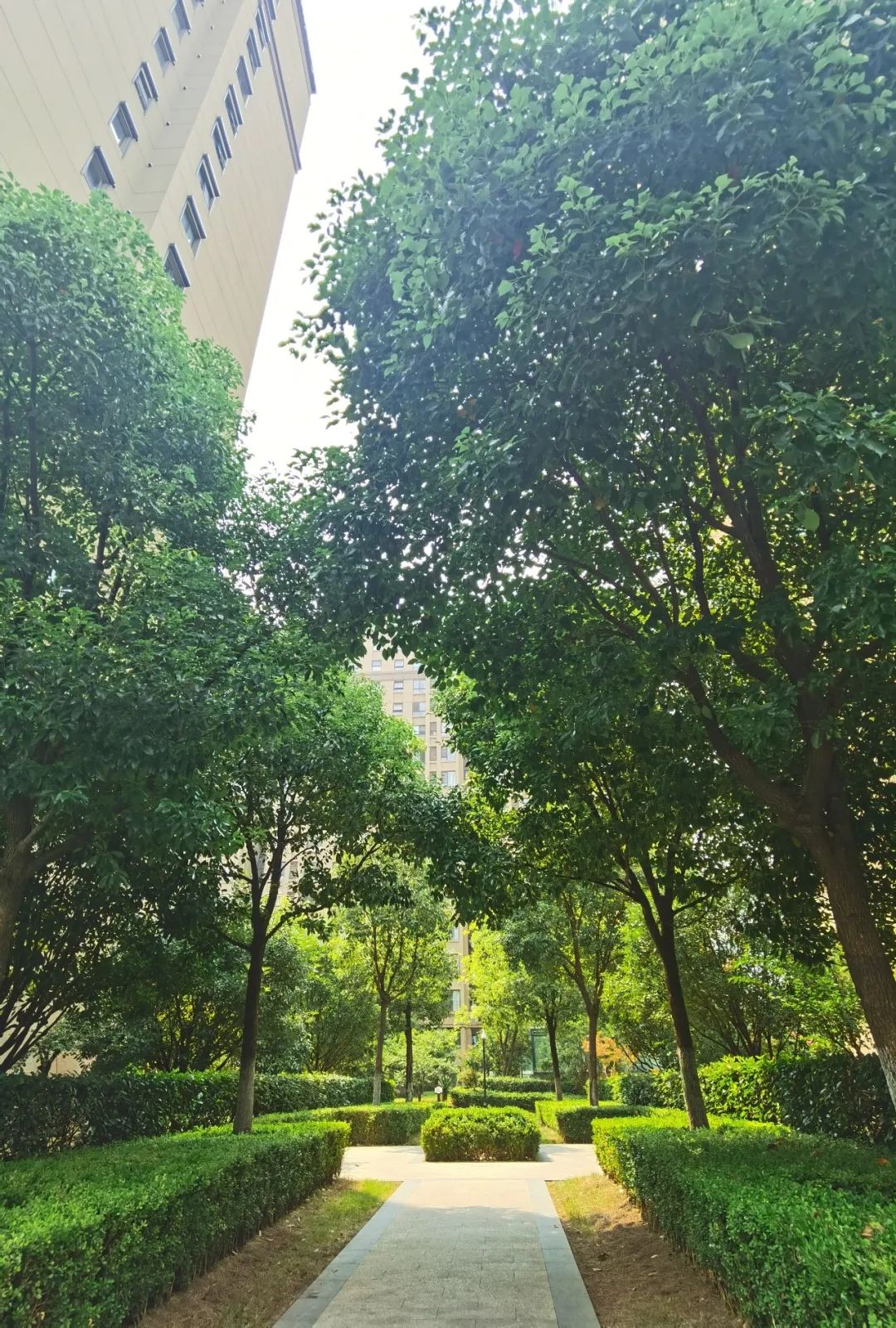 尚锦城和融创哪个值得买,你们说买期房好还是现房好