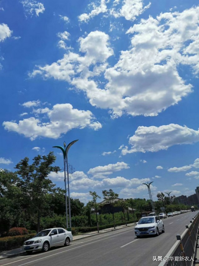 山东菏泽郓城县几个乡镇,郓城贫困县