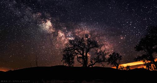 能量共振细胞再生,能量共振空间