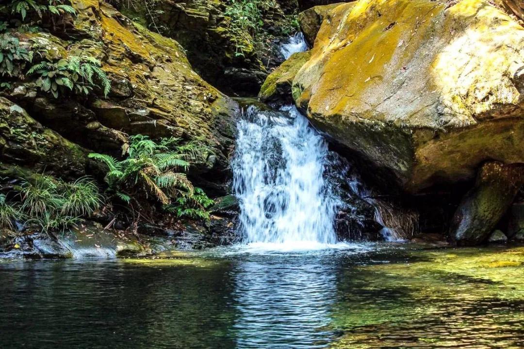 泡茶用水怎么选择比较好,泡茶的水应该选择什么标准