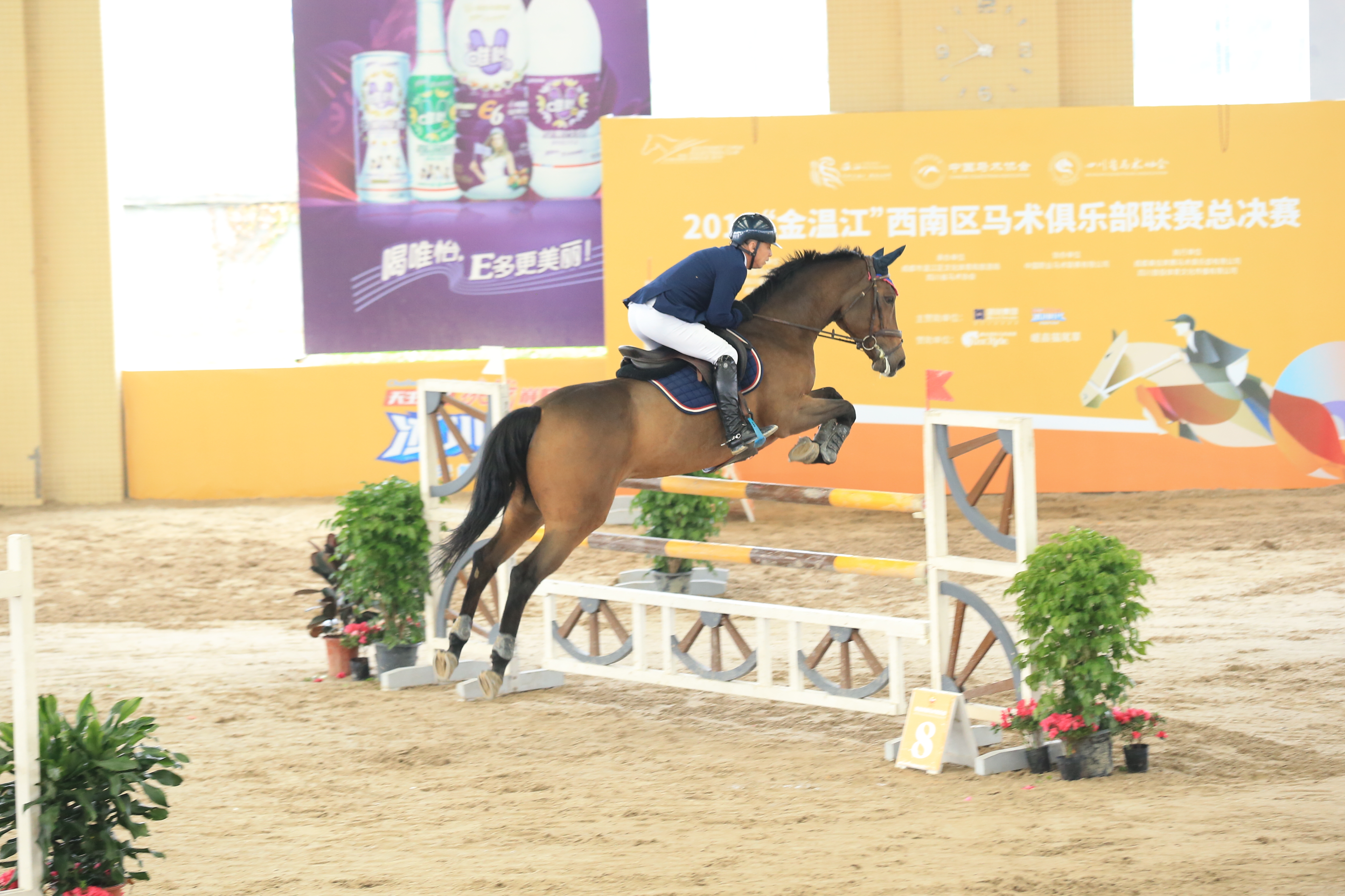 2019閲戞俯姹熻タ閮ㄩ┈鏈槈骞村崕,閲戞俯姹熼┈鏈槈骞村崕