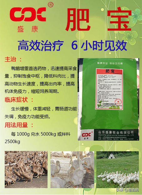 肉鸭全程用药保健程序